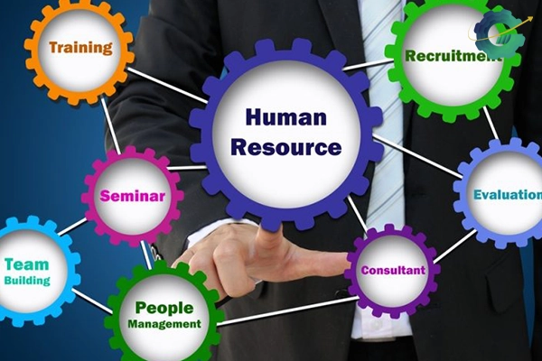 نقش مدیر منابع انسانی در سازمان چیست؟