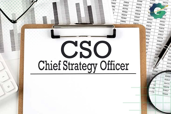 شغل CSO چیست؟